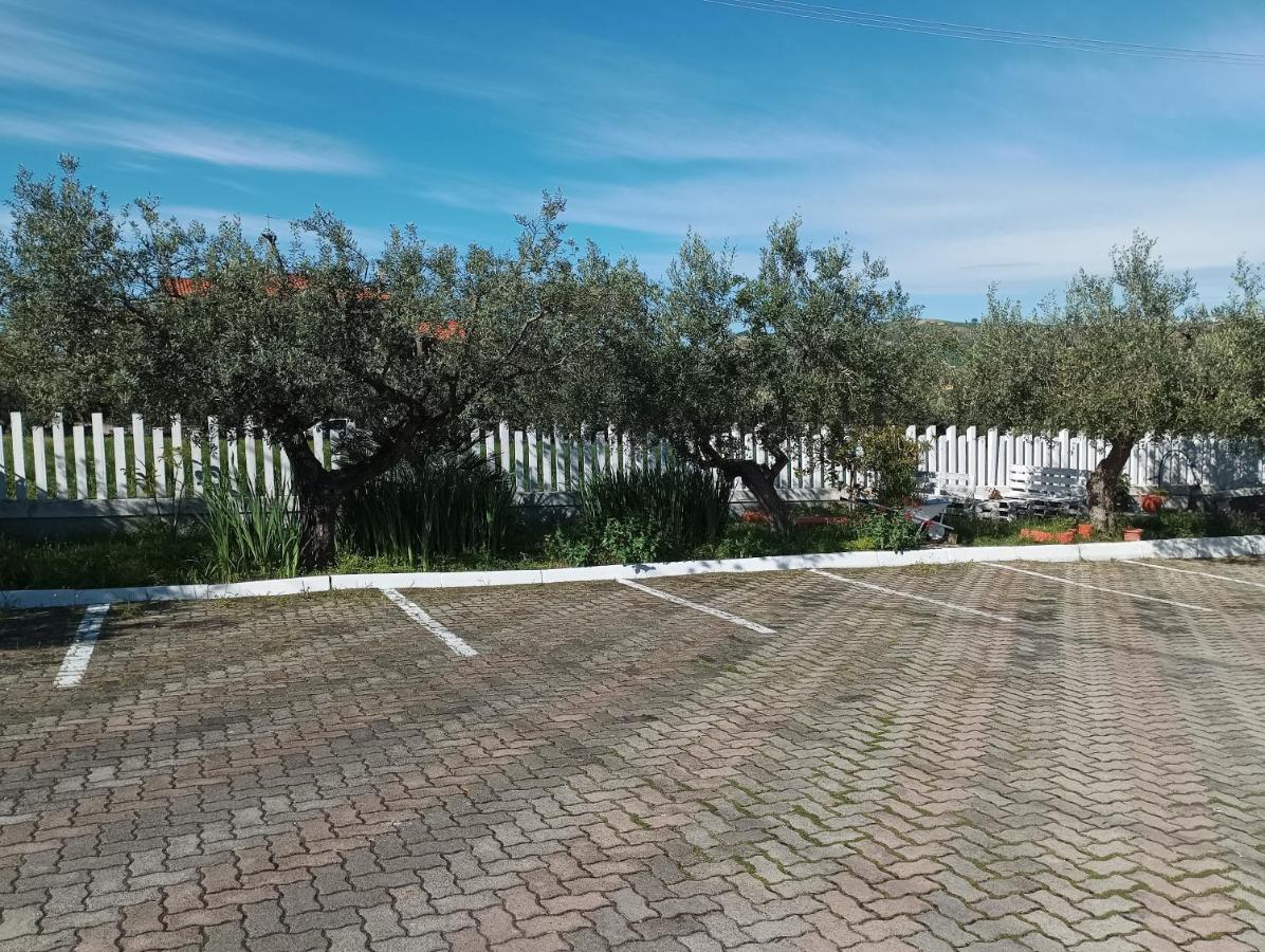 新萨尔沃Colline Del Sole住宿加早餐旅馆 外观 照片