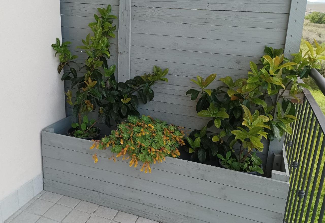 新萨尔沃Colline Del Sole住宿加早餐旅馆 外观 照片